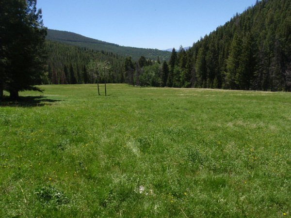 the little mountain park at the bottom.